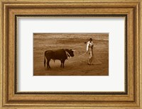 Framed Matador and Bull