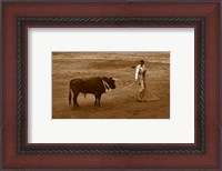 Framed Matador and Bull