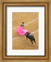 Framed Matador Bullfight