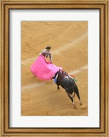 Framed Matador Bullfight