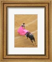 Framed Matador Bullfight