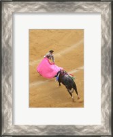 Framed Matador Bullfight