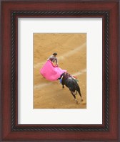 Framed Matador Bullfight