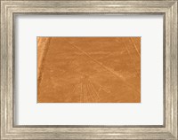 Framed Nazca Lines Design