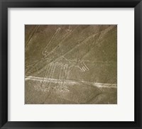 Framed Nazca Lines Dog