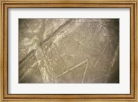 Framed Nazca Lines Symbol