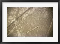 Framed Nazca Lines Symbol