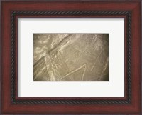 Framed Nazca Lines Symbol