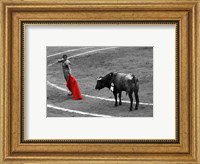 Framed Red Matador I