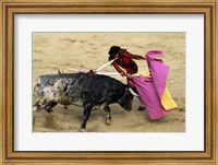 Framed High angle view of a matador fighting with a bull, Spain