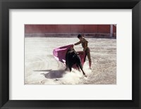 Framed Matador fighting with a bull, Spain