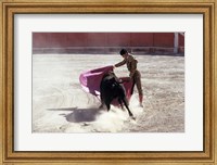 Framed Matador fighting with a bull, Spain