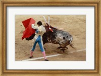 Framed Matador fighting a bull, Plaza de Toros, Ronda, Spain