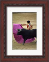 Framed matador and a bull at a Bullfight, Spain