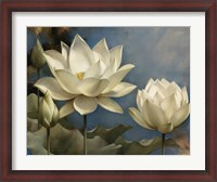 Framed Lotus I