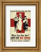 Framed Join Our Red Cross Annual Membership