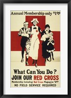 Framed Join Our Red Cross Annual Membership