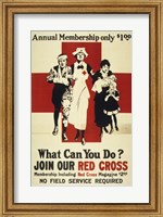 Framed Join Our Red Cross Annual Membership