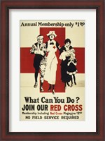 Framed Join Our Red Cross Annual Membership