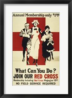 Framed Join Our Red Cross Annual Membership
