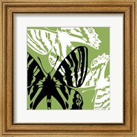 Framed Pop Fly VI