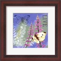 Framed Butterflies Inspire I