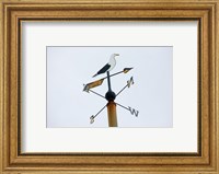 Framed Seagull Weathervane