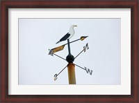 Framed Seagull Weathervane