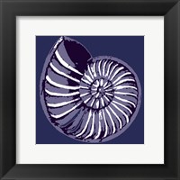 Framed Nautilus