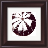 Framed Urchin