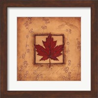 Framed Maple Leaf