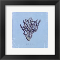 Framed Coral - blue