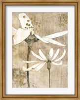 Framed Pencil Floral II