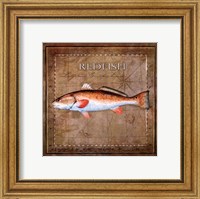 Framed Ocean Fish IX
