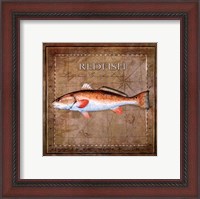 Framed Ocean Fish IX