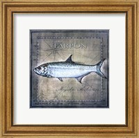 Framed Ocean Fish X