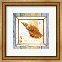 Framed Sea Treasures I