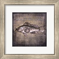 Framed Ocean Fish II