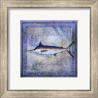 Framed Ocean Fish V