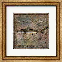 Framed Ocean Fish VI