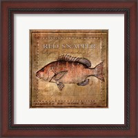 Framed Ocean Fish VII