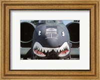 Framed Flying Tigers II