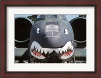 Framed Flying Tigers II
