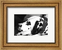 Framed Dog Tired