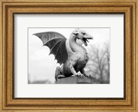 Framed Dragon Statue