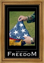Framed Freedom Affirmation Poster, USAF