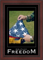 Framed Freedom Affirmation Poster, USAF