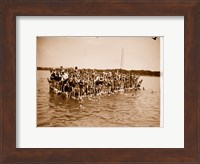 Framed Hawaiian Swimmers at Potomac Tidal Basin
