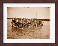 Framed Hawaiian Swimmers at Potomac Tidal Basin