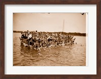 Framed Hawaiian Swimmers at Potomac Tidal Basin